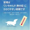 梅雨が明けて暑い日が続きます。
犬は暑さに弱いので、熱中症にかかりやすく症状も重篤化しやすいので注意が必要です。